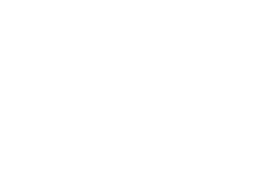 borninthenorth